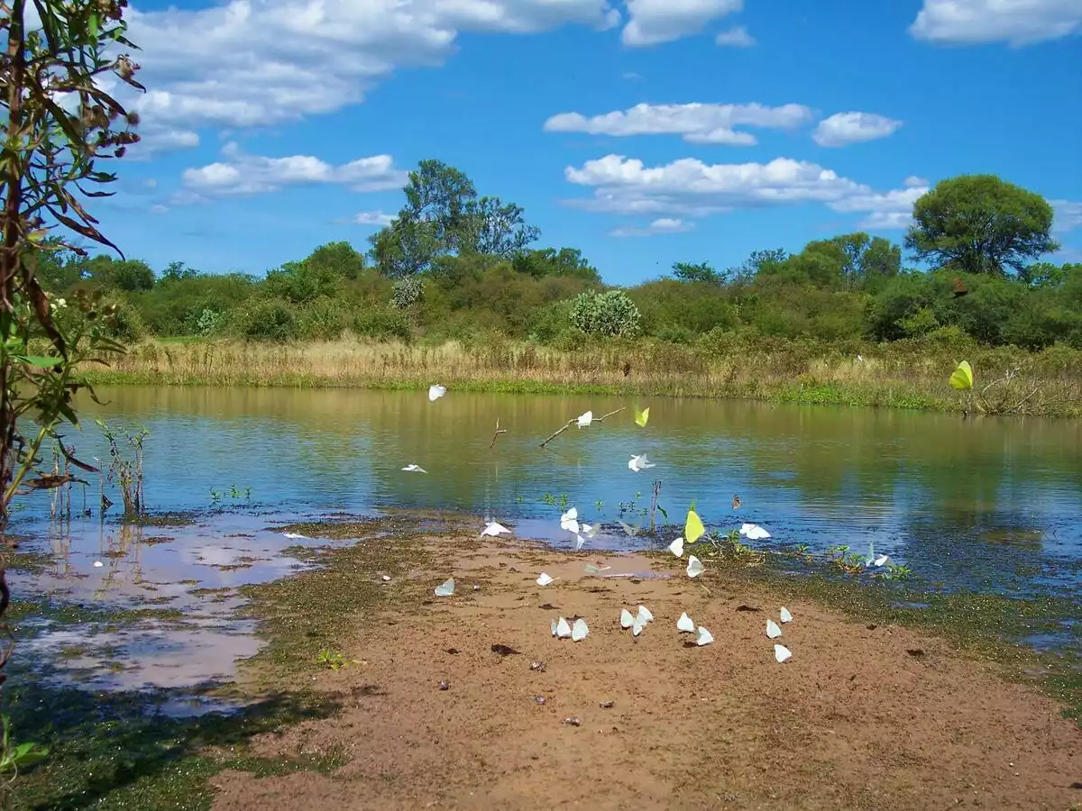 Boquerón Department, Paraguay