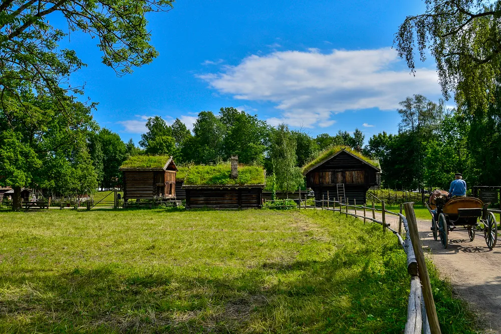 Hallingdal Museum