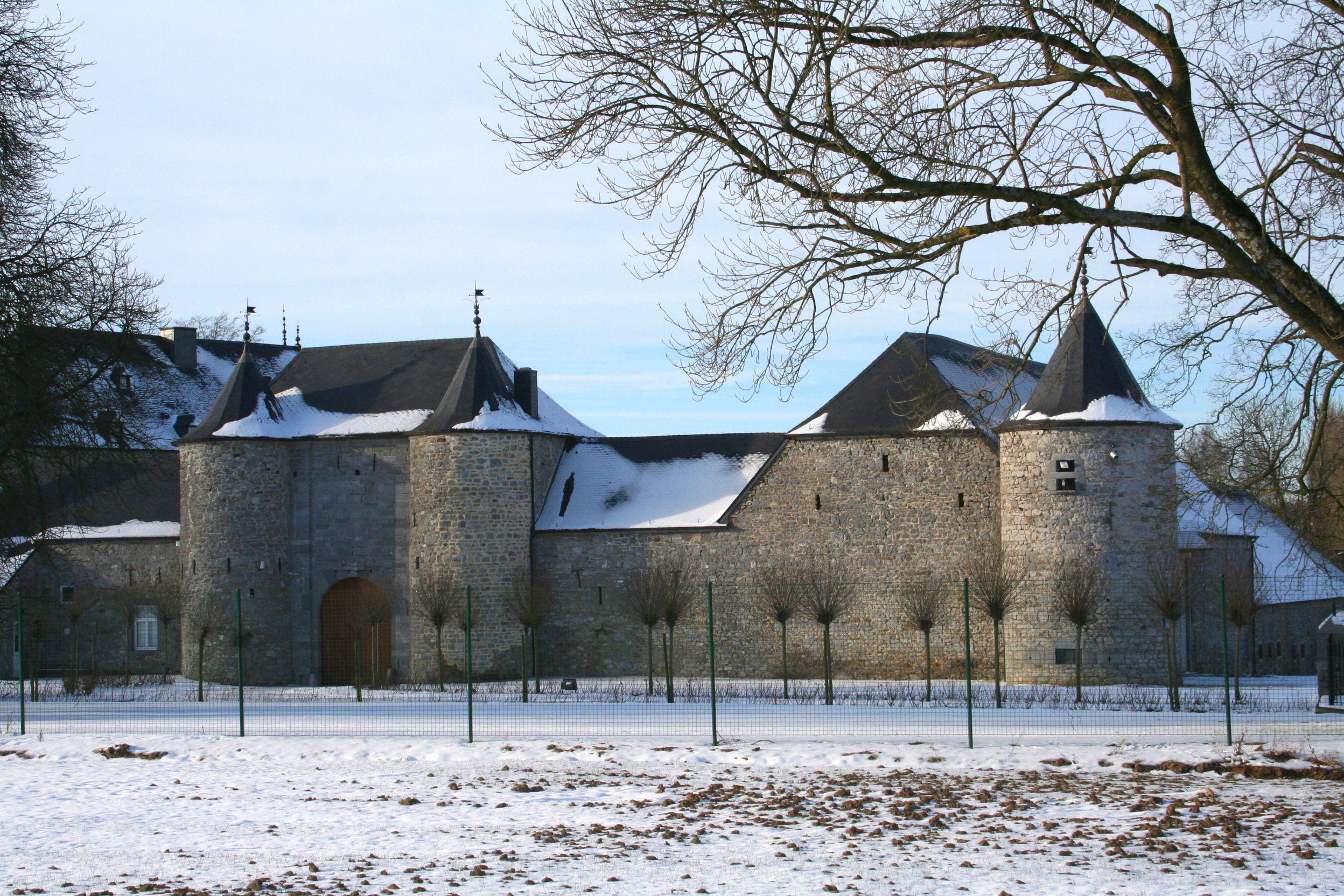 Castle of Tarcienne