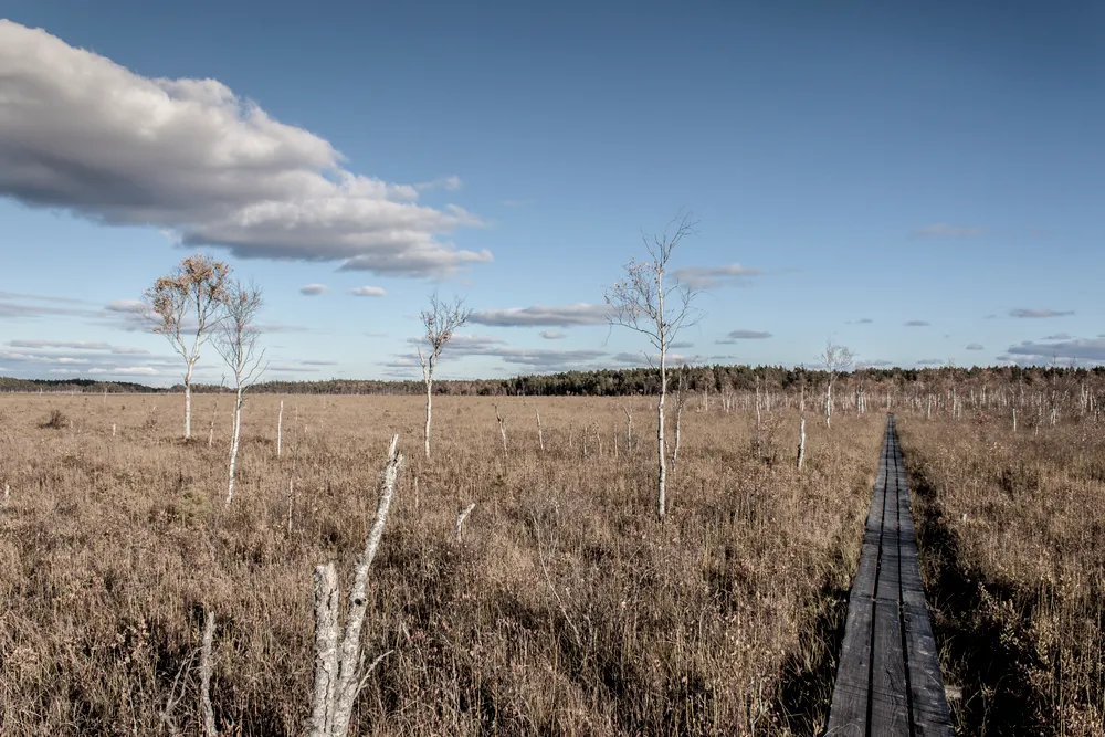 Store Mosse National Park