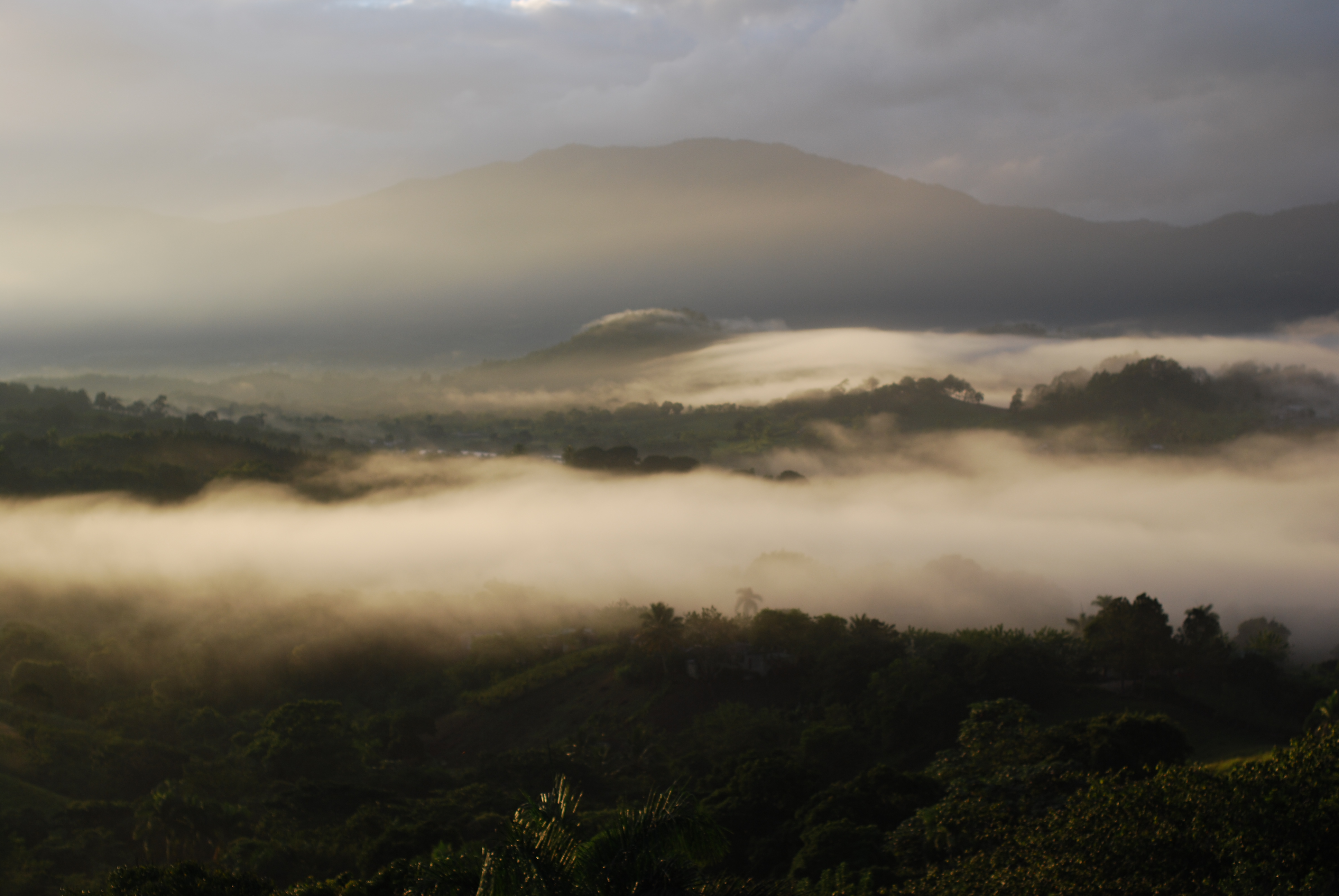 José Armando Bermúdez National Park