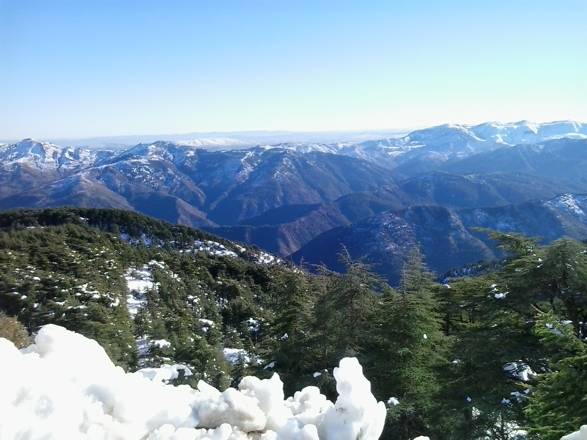 Chrea National Park
