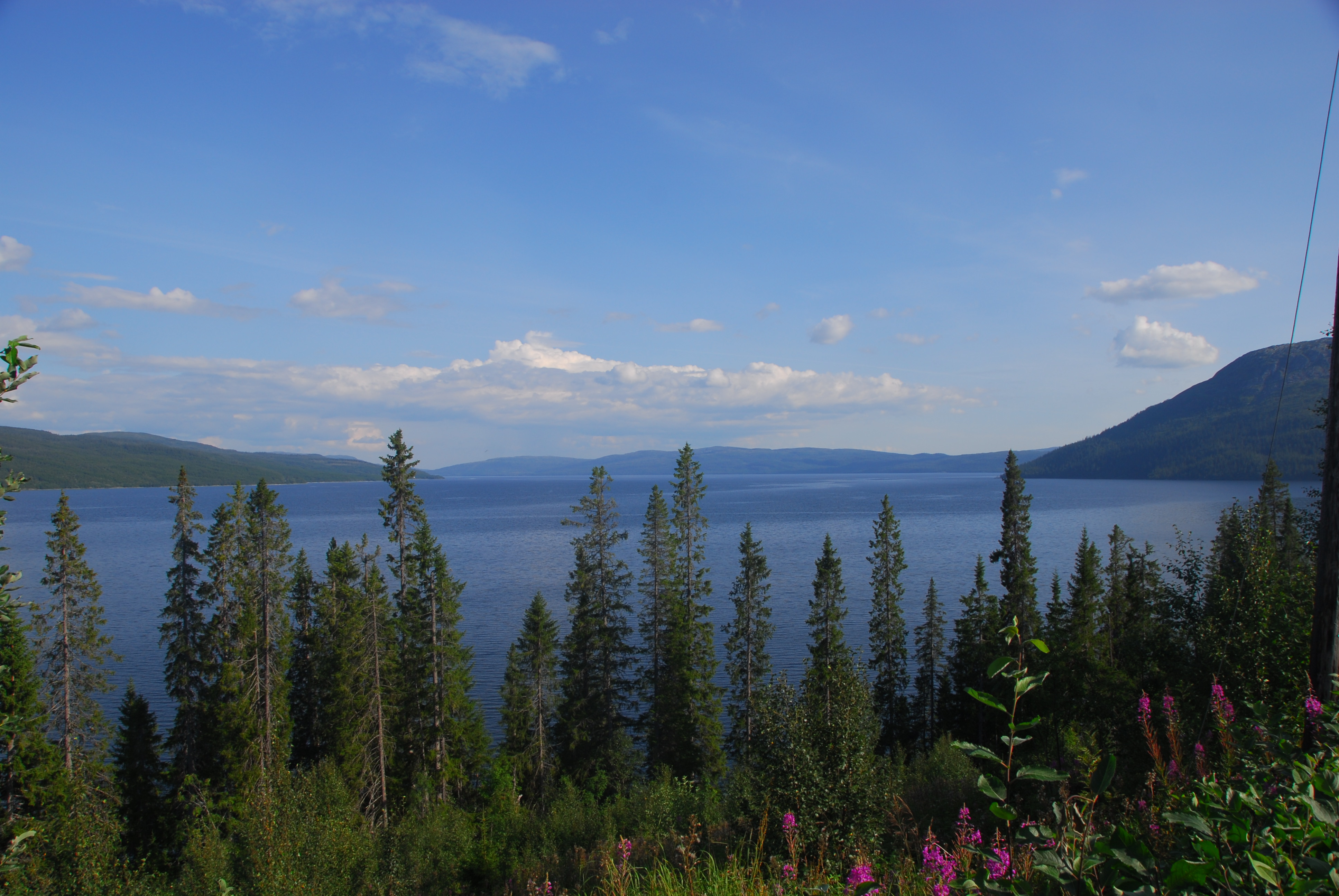 Tunnsjøen