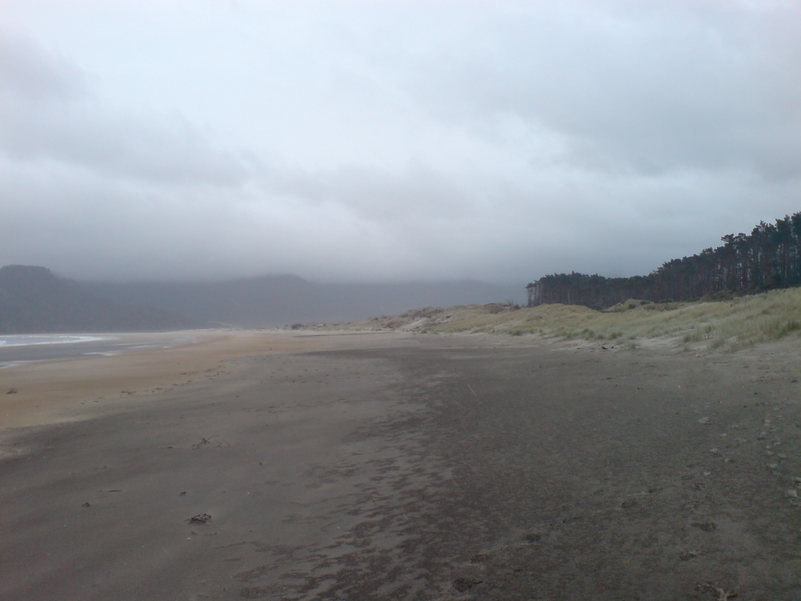 Whangapoua Beach