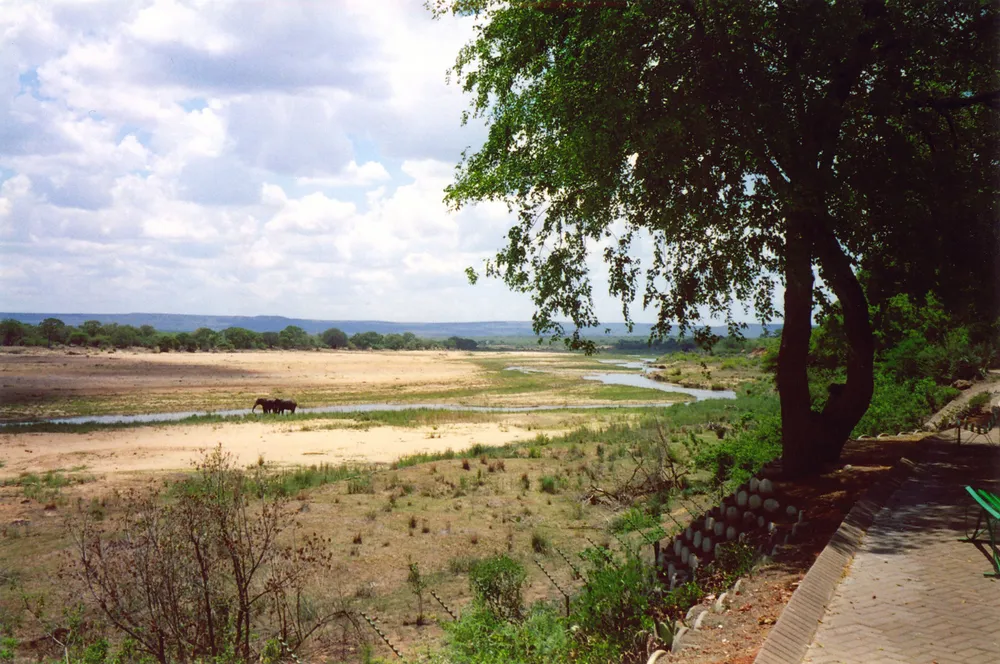 Letaba Elephant Hall
