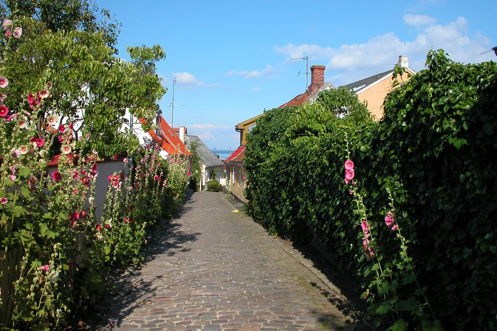 Ærø