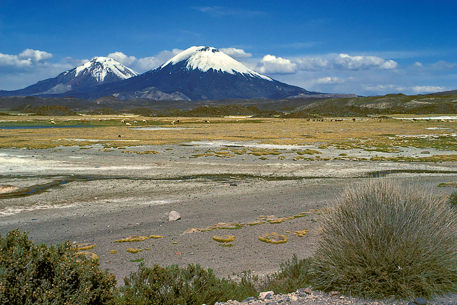 Nevados de Payachata