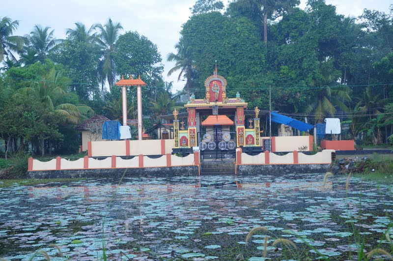 Pulimukham Devi Temple
