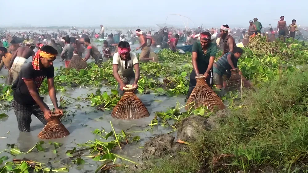 Chalan Beel
