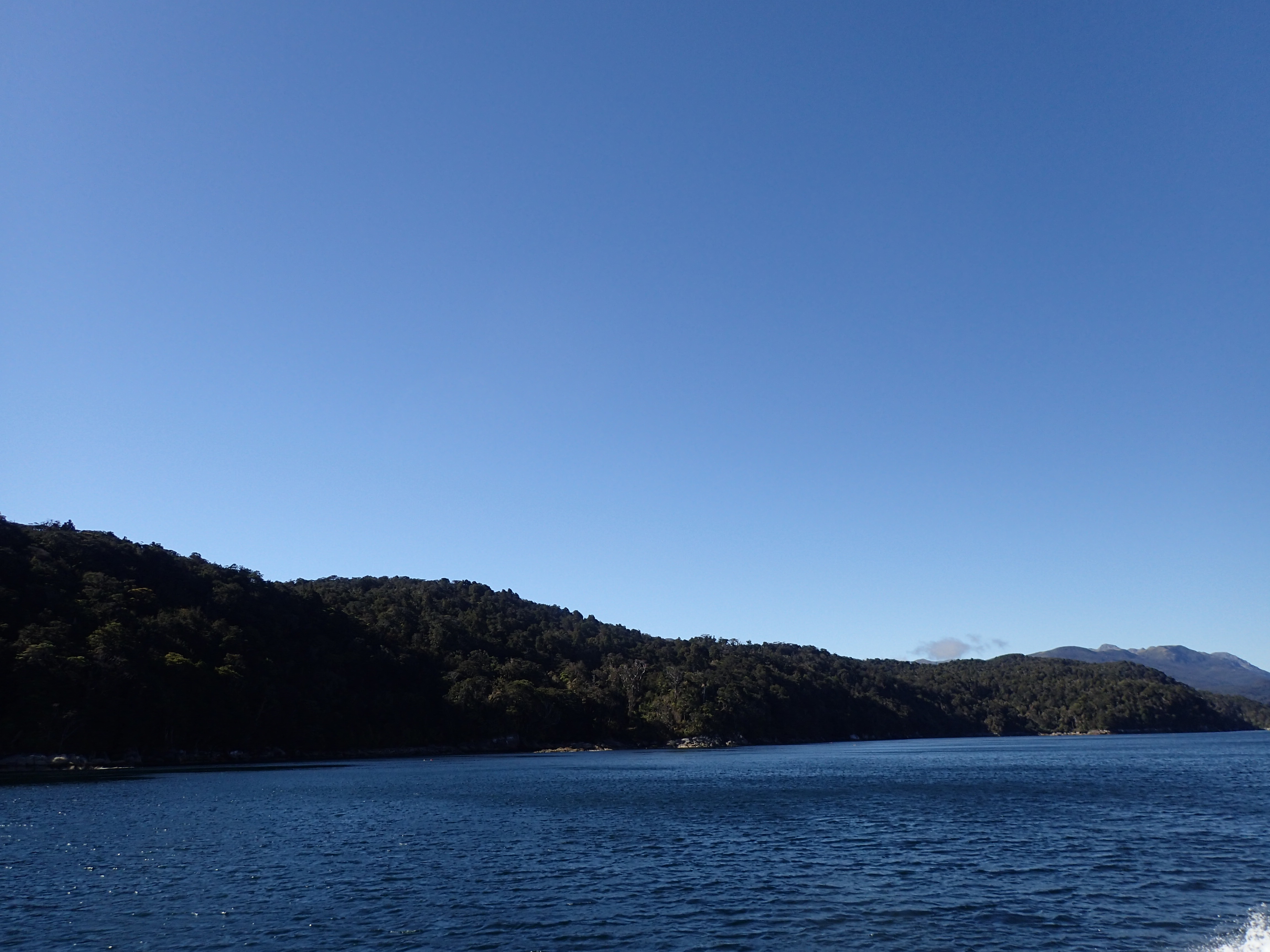 Great Island