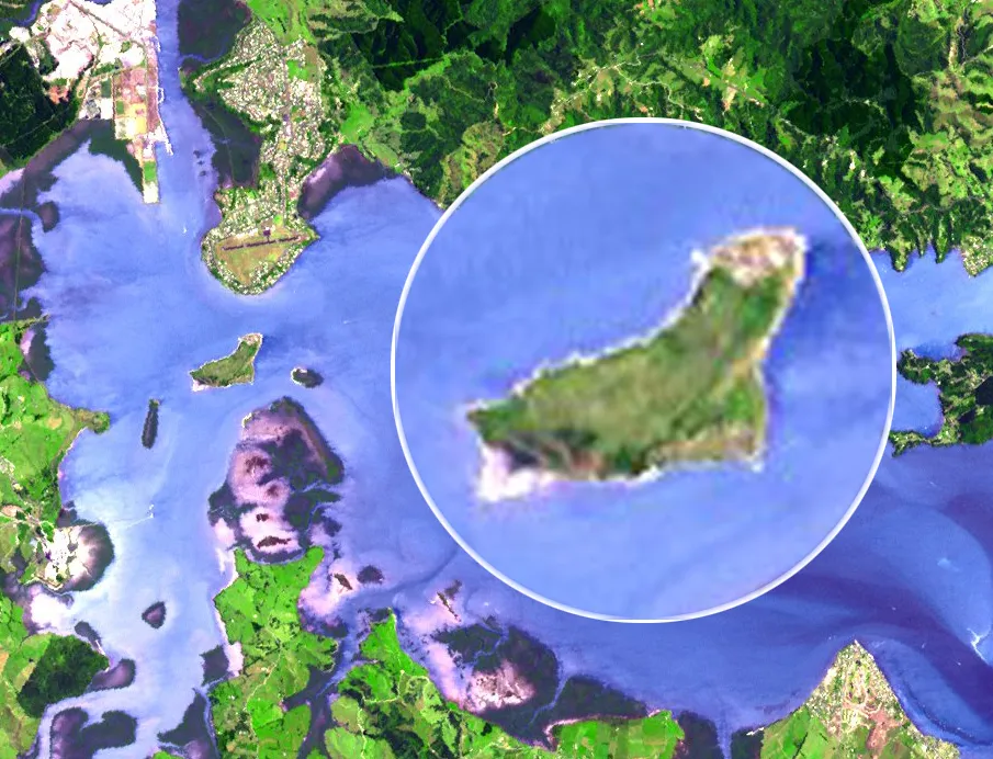 Motu Matakohe / Limestone Island