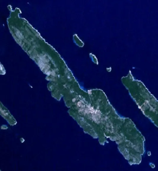 Sestrunj
