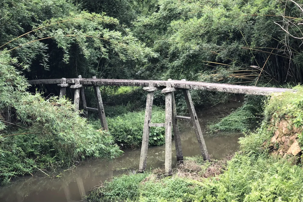 Huangshatang High Bridge
