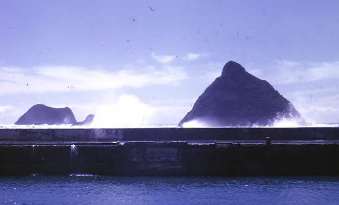 Moturoa