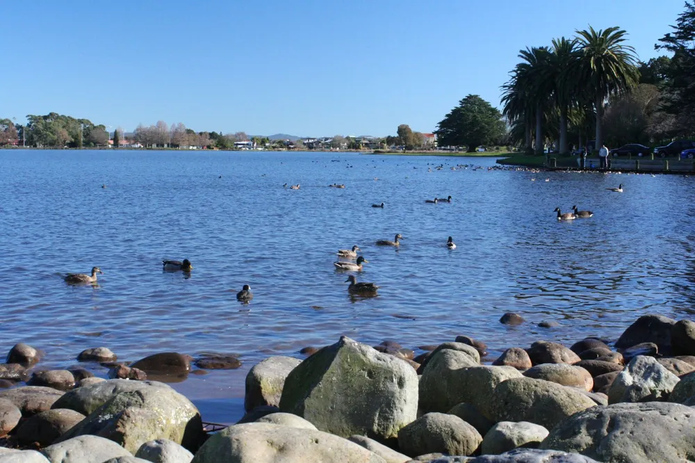 Lake Rotoroa / Hamilton Lake