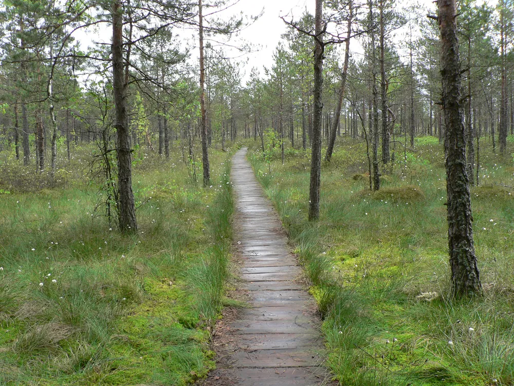 Dzūkija National Park