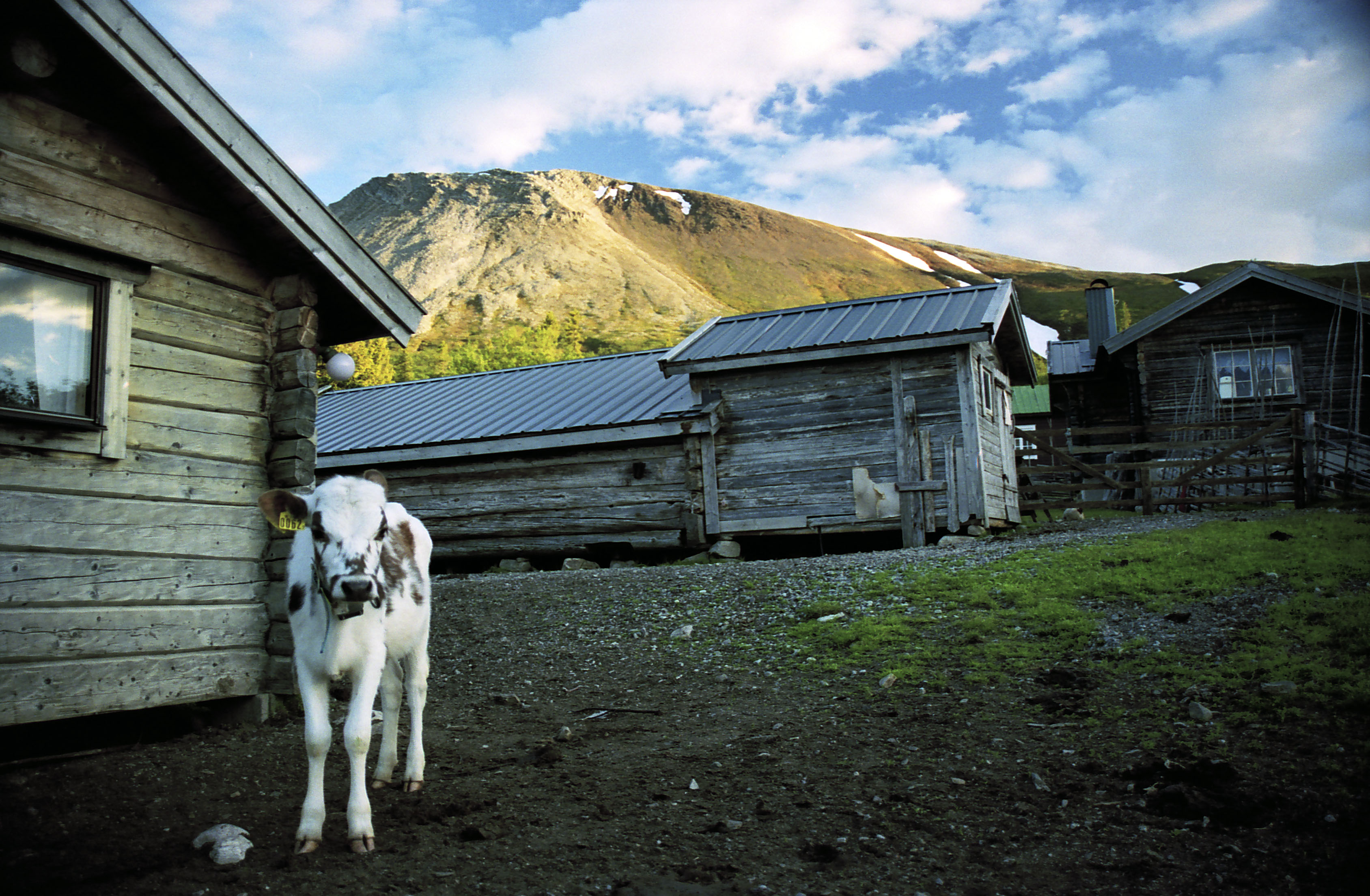 Sonfjället National Park