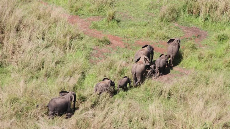 Garamba National Park, Democratic Republic of the Congo