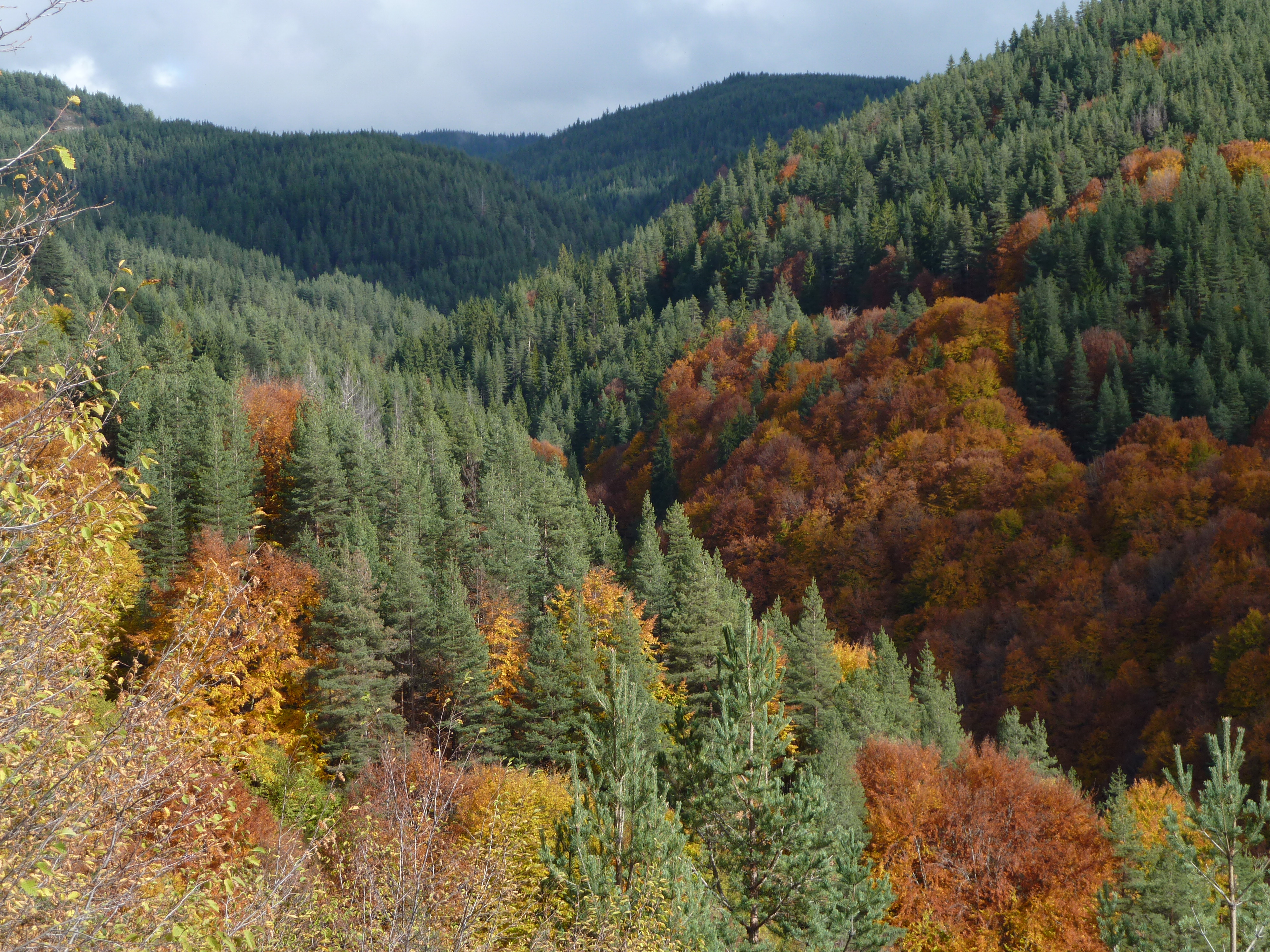 Rodopi Mountain Range National Park