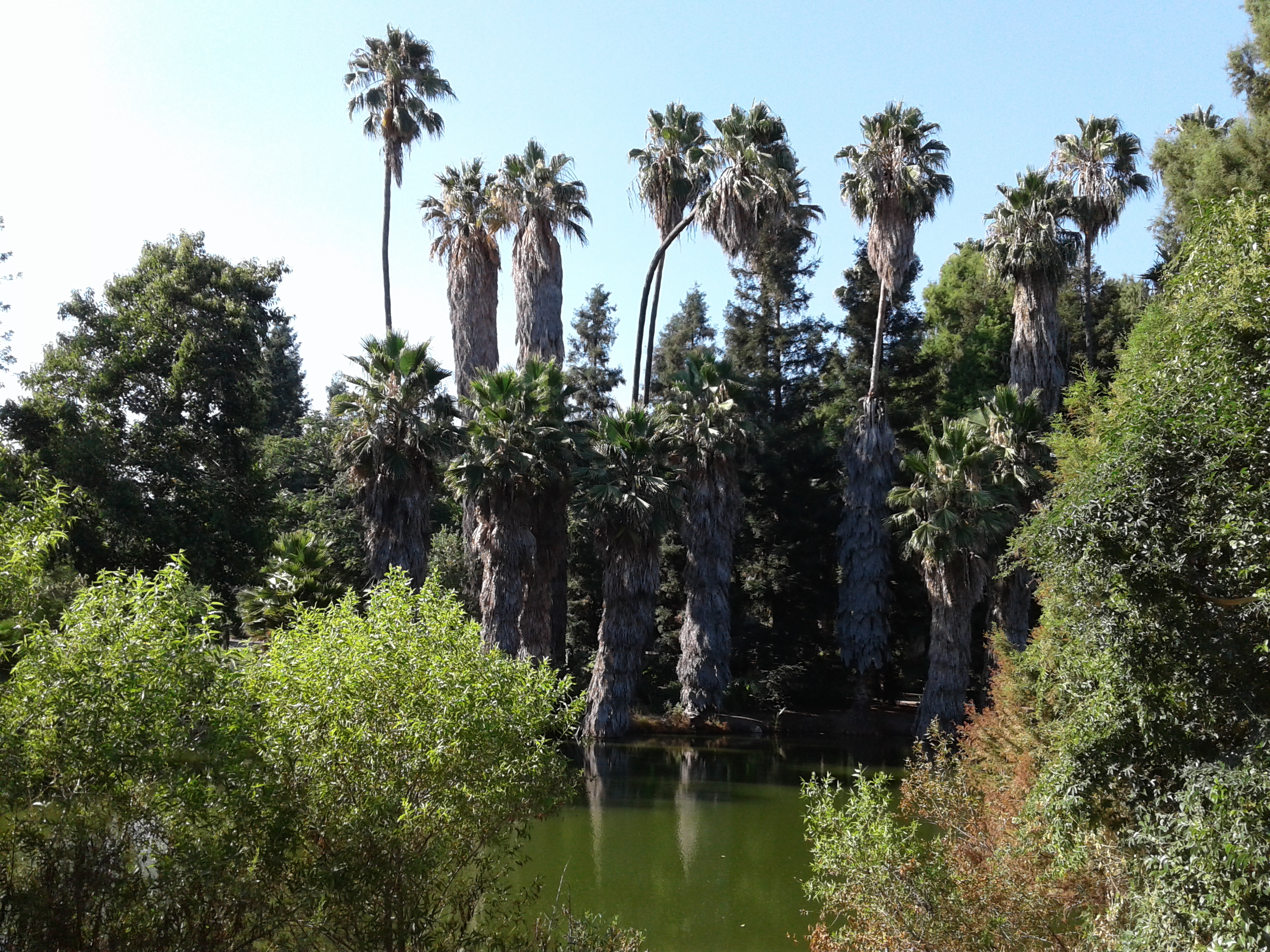 Baldwin Lake