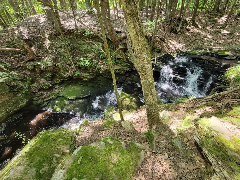 Codfish Falls