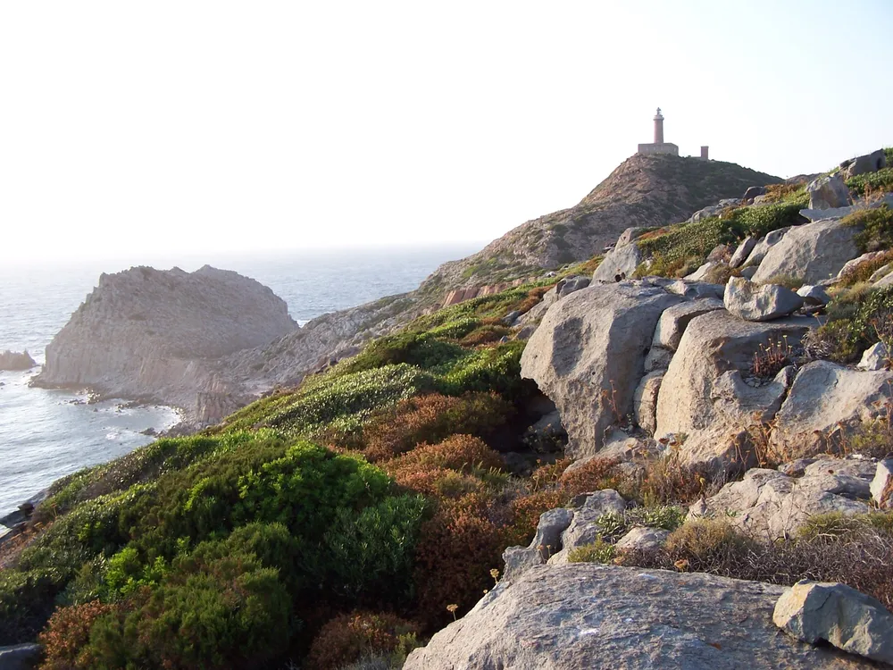 San Pietro Island