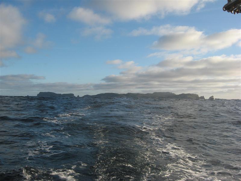 Snares Islands/Tini Heke