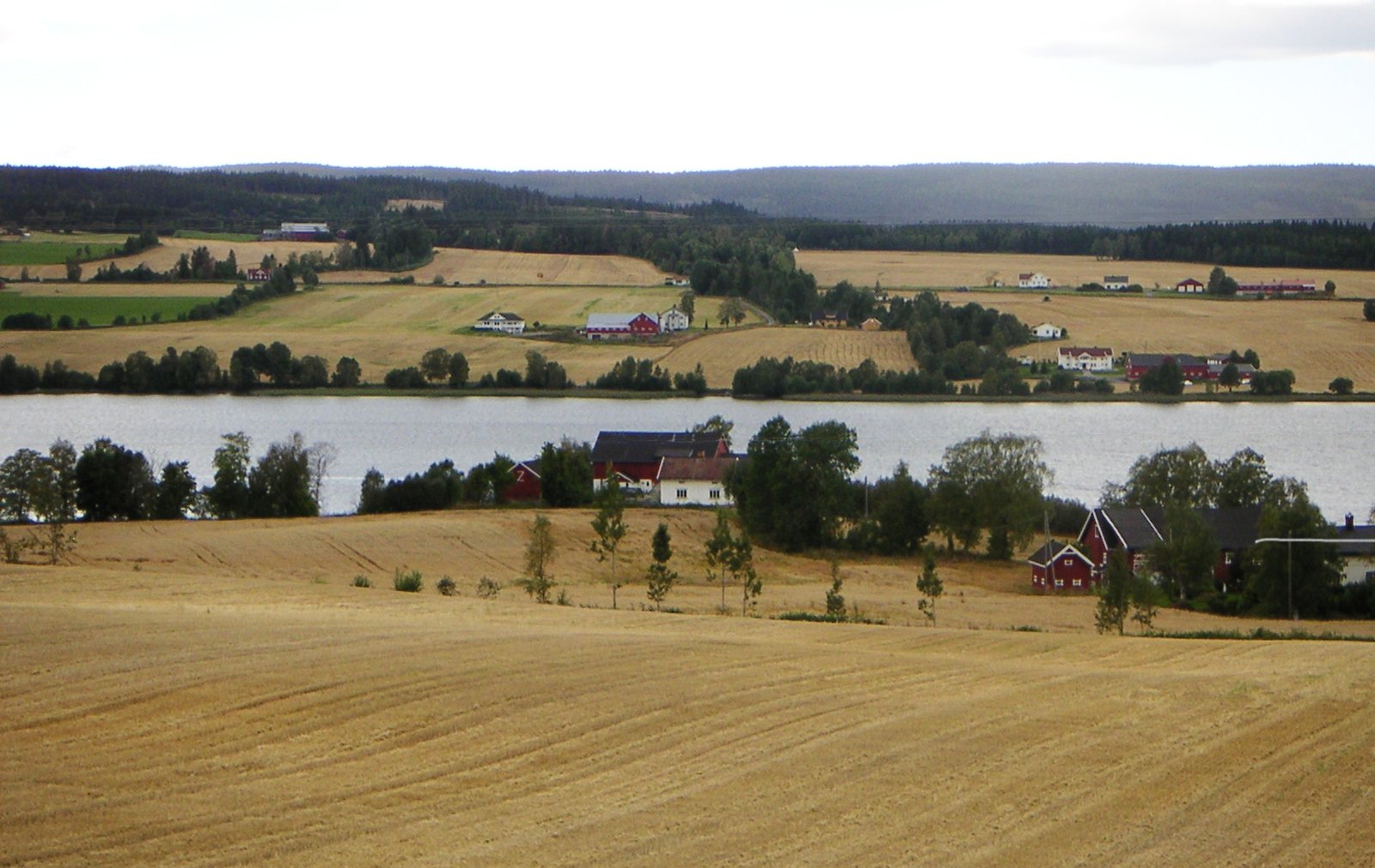 Einavatnet