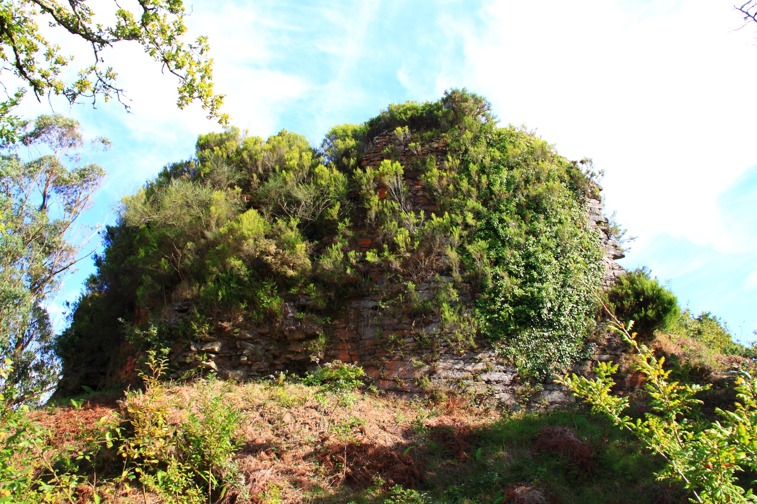 Castle of Mesía