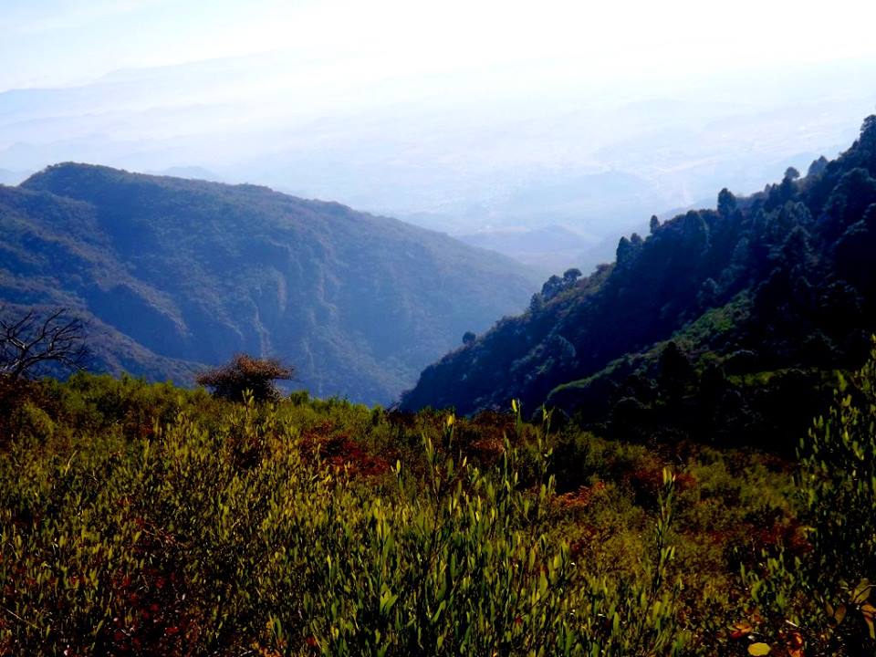 Margala Hills National Park