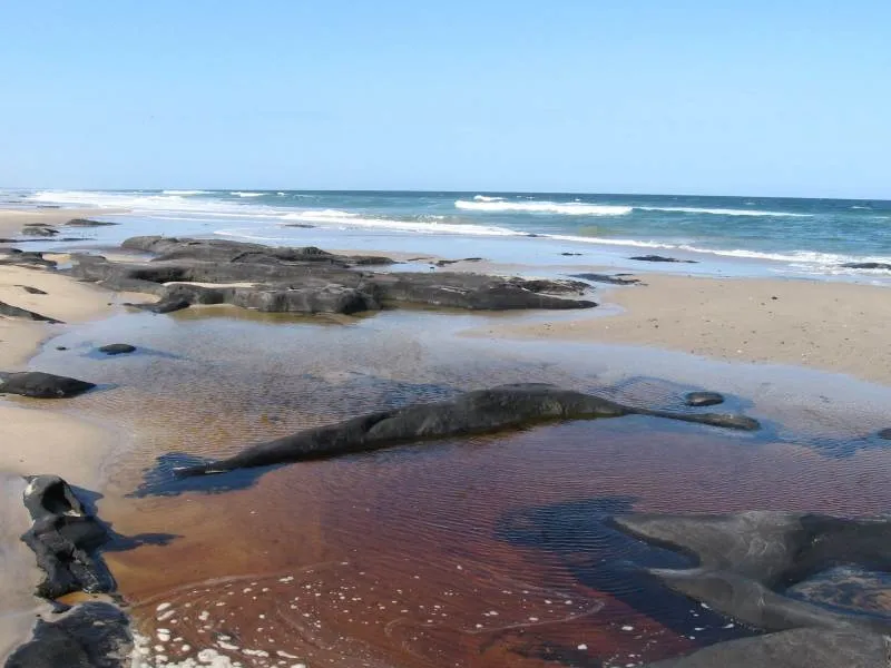 Broadwater National Park