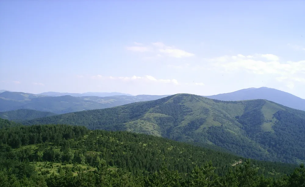 Goč