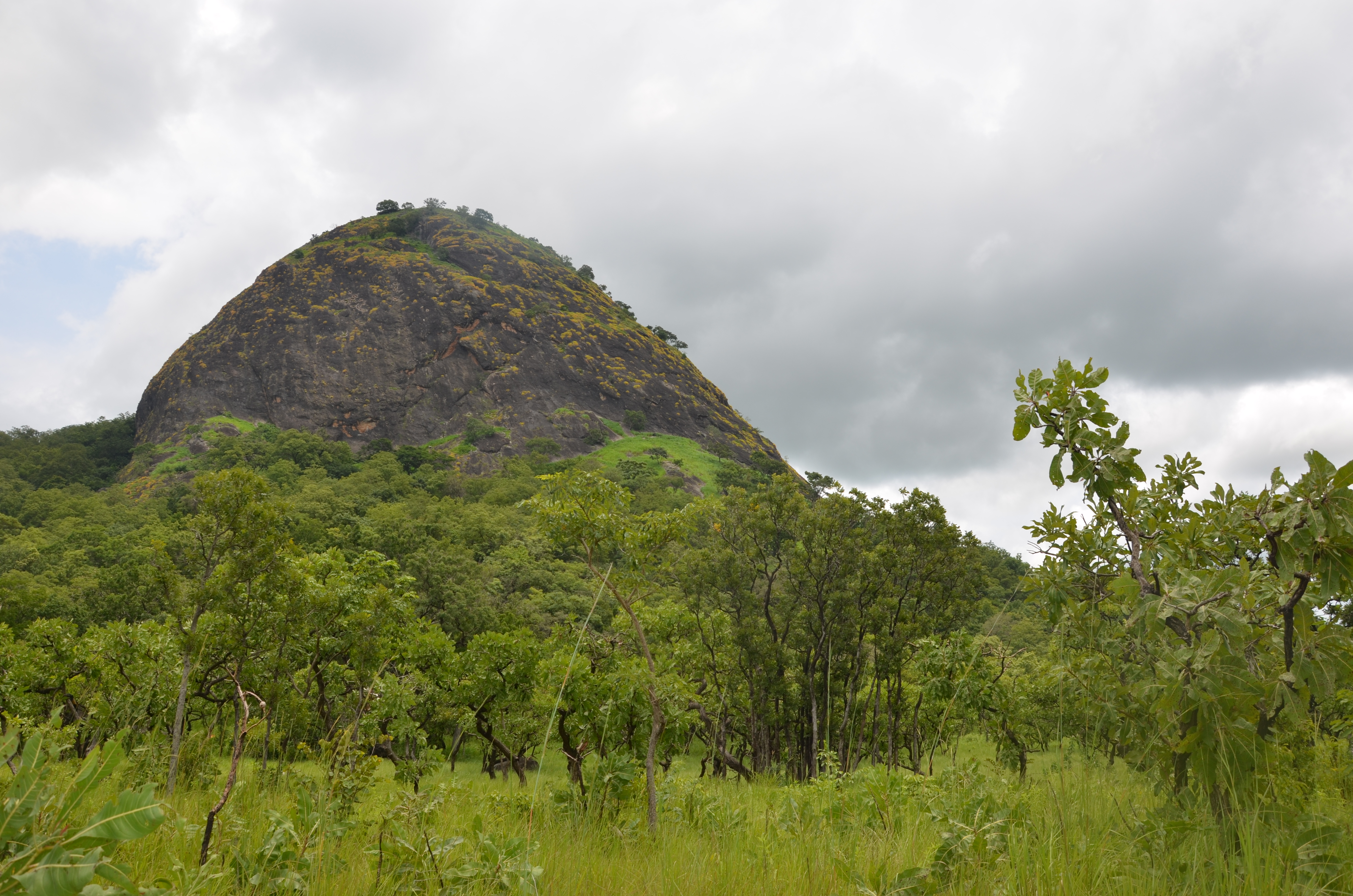 Fazao Mafakassa National Park