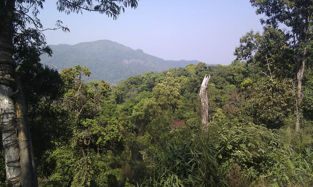 Kaeng Krachan Forest Complex