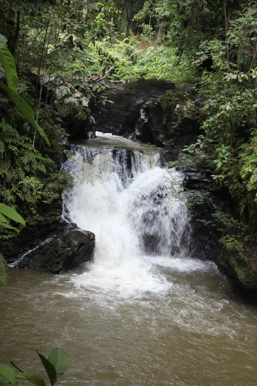 Tawau Hills National Park