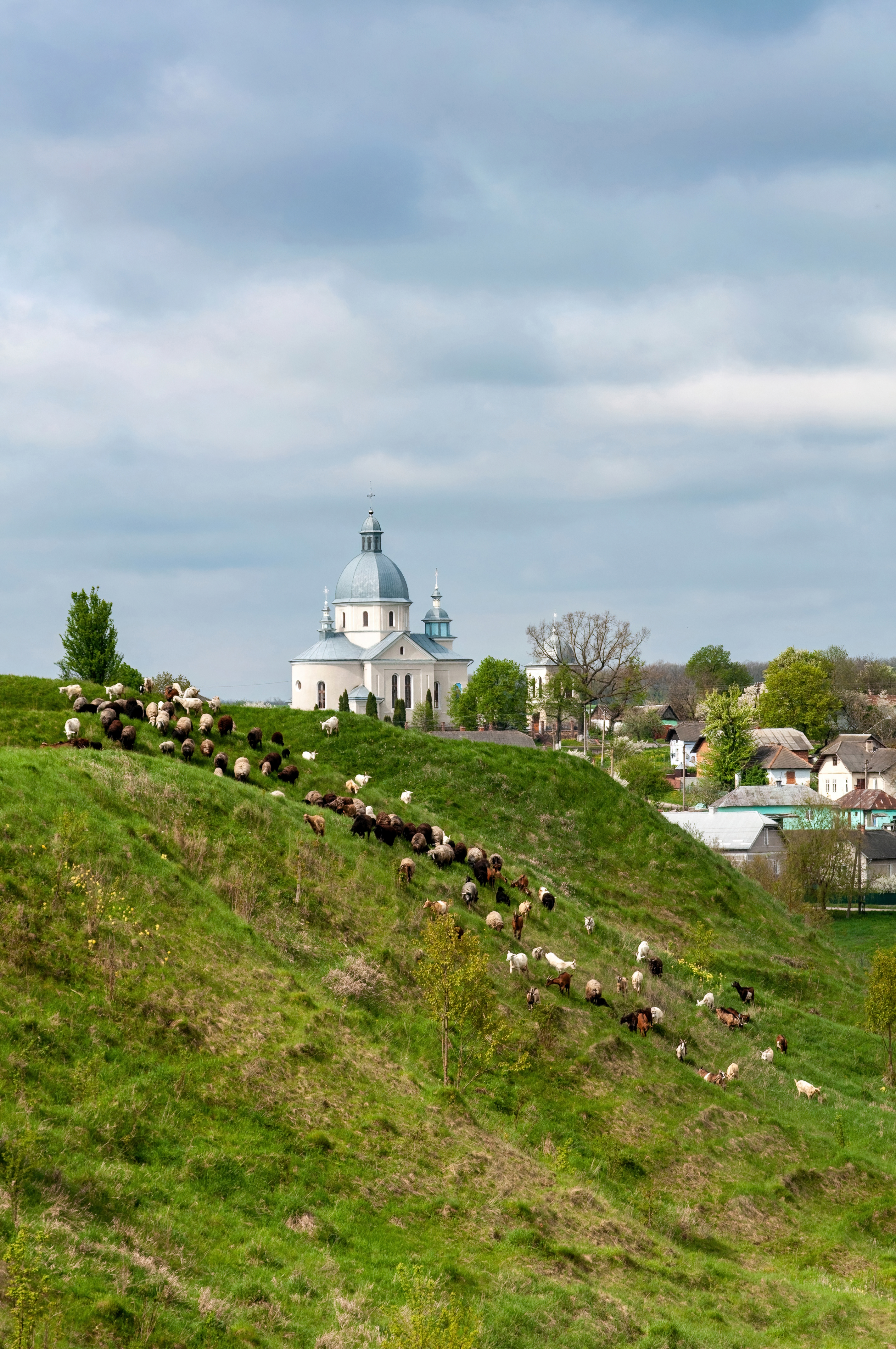 Place of Shmankivtsi Castle