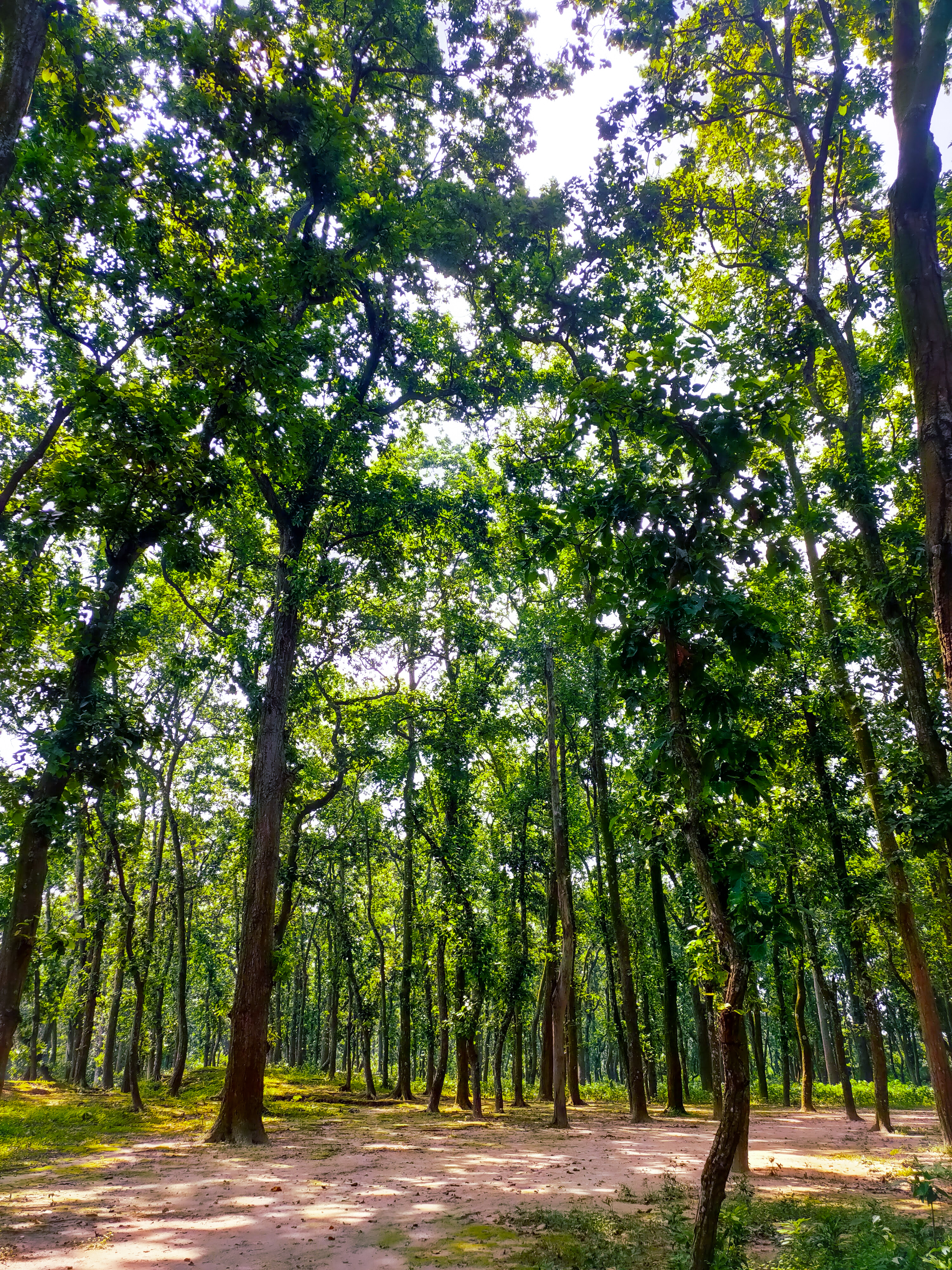 Birgonj National Park