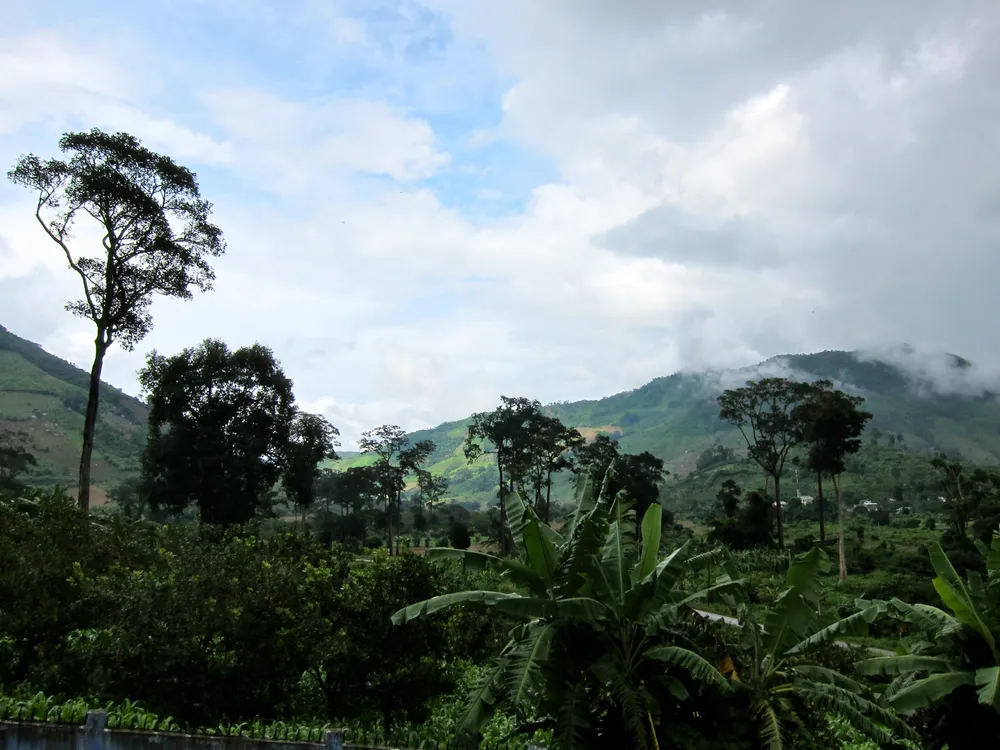Phuoc Binh National Park