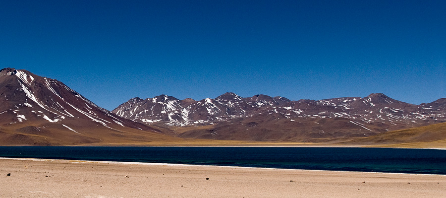 Cordón de Puntas Negras