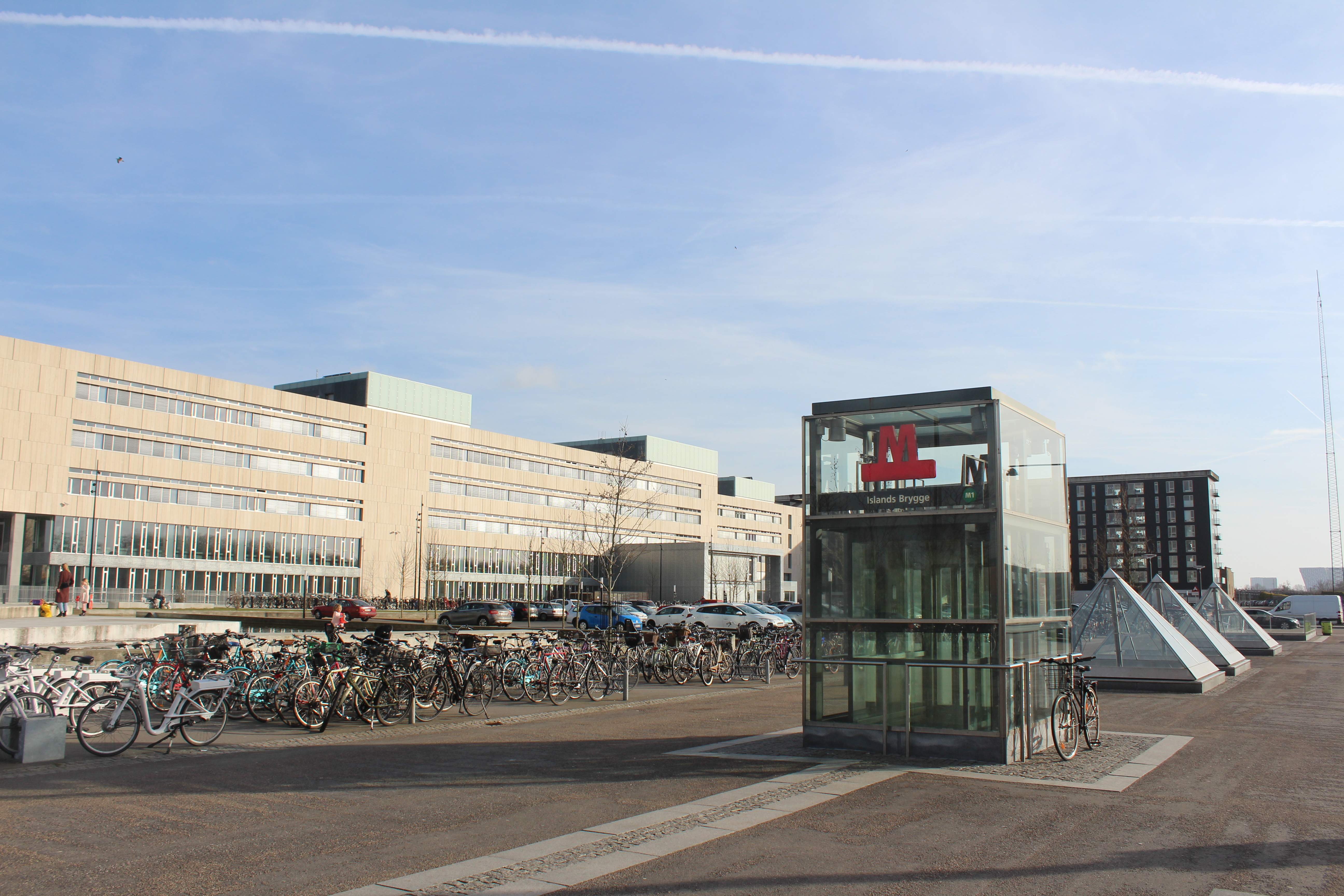 Department of Information Studies