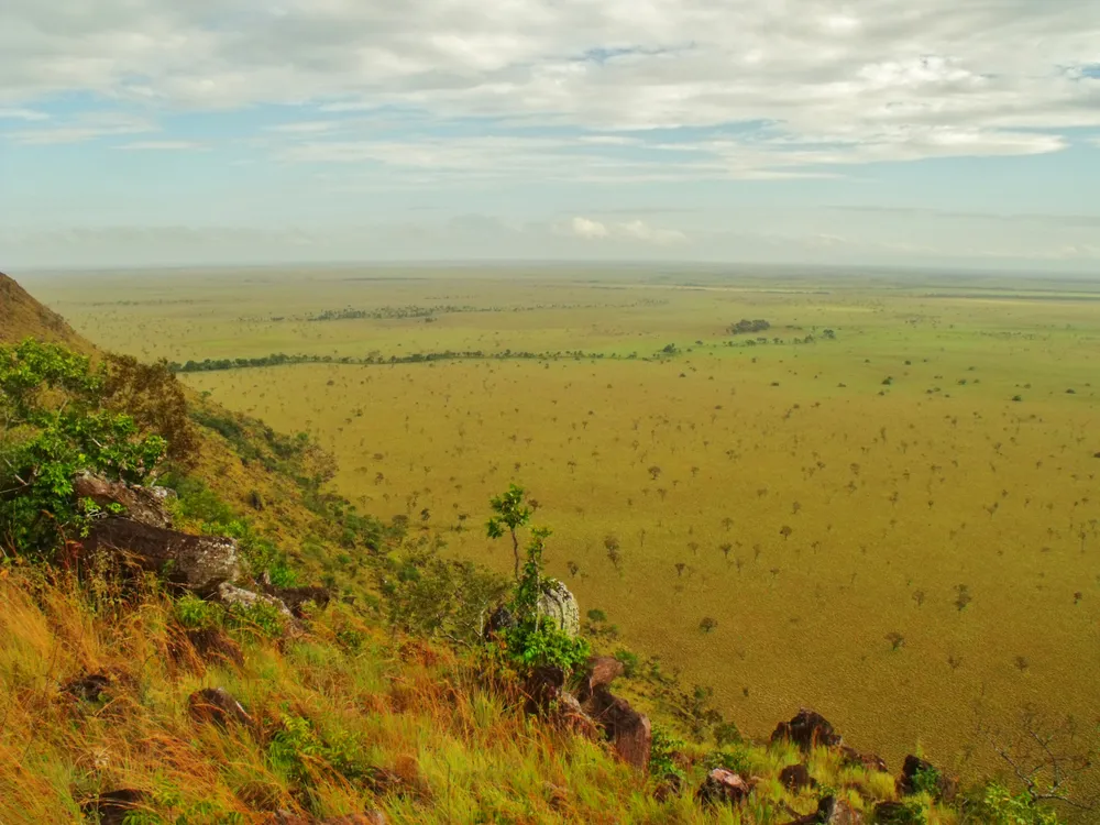Santos Luzardo National Park