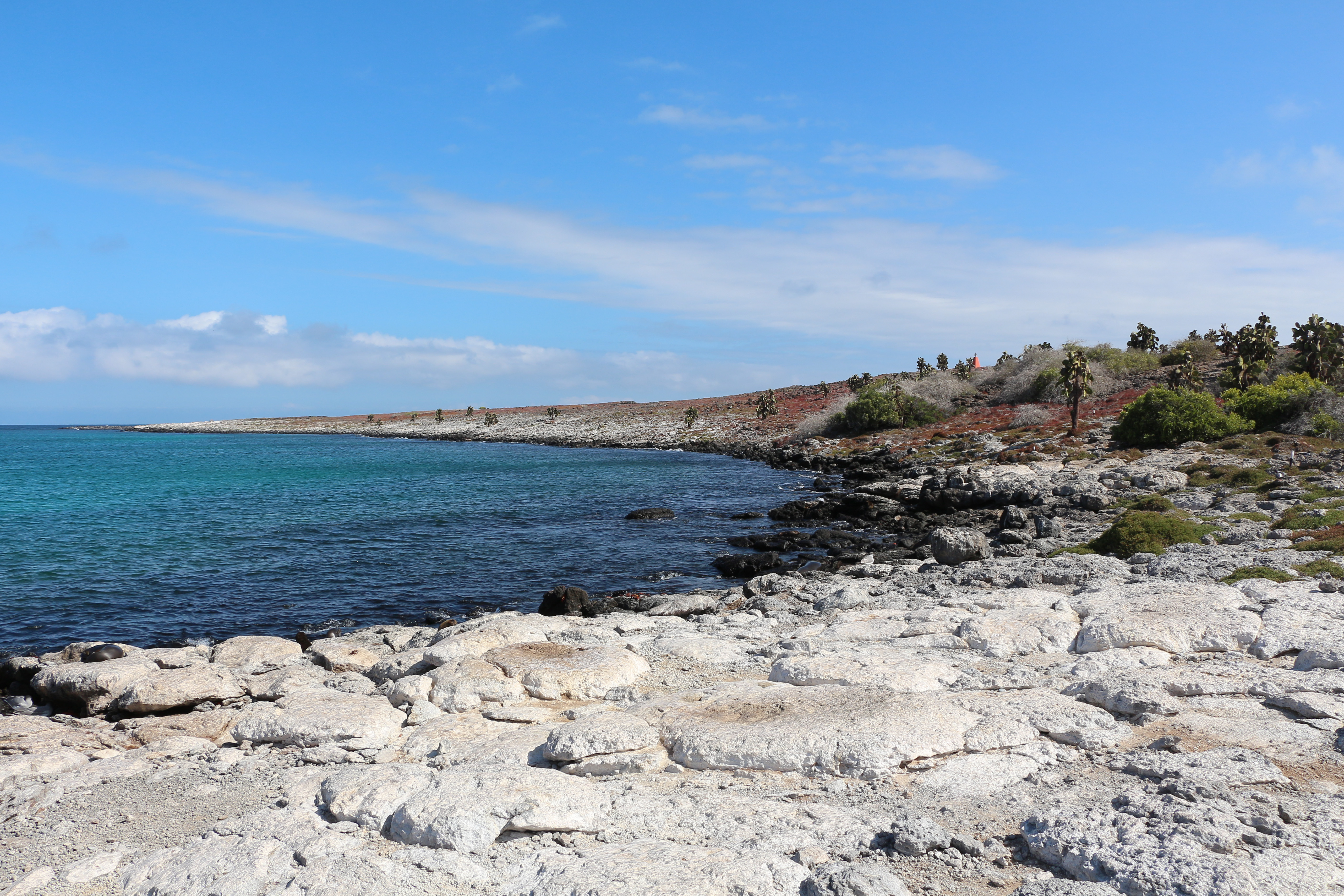 South Plaza Island