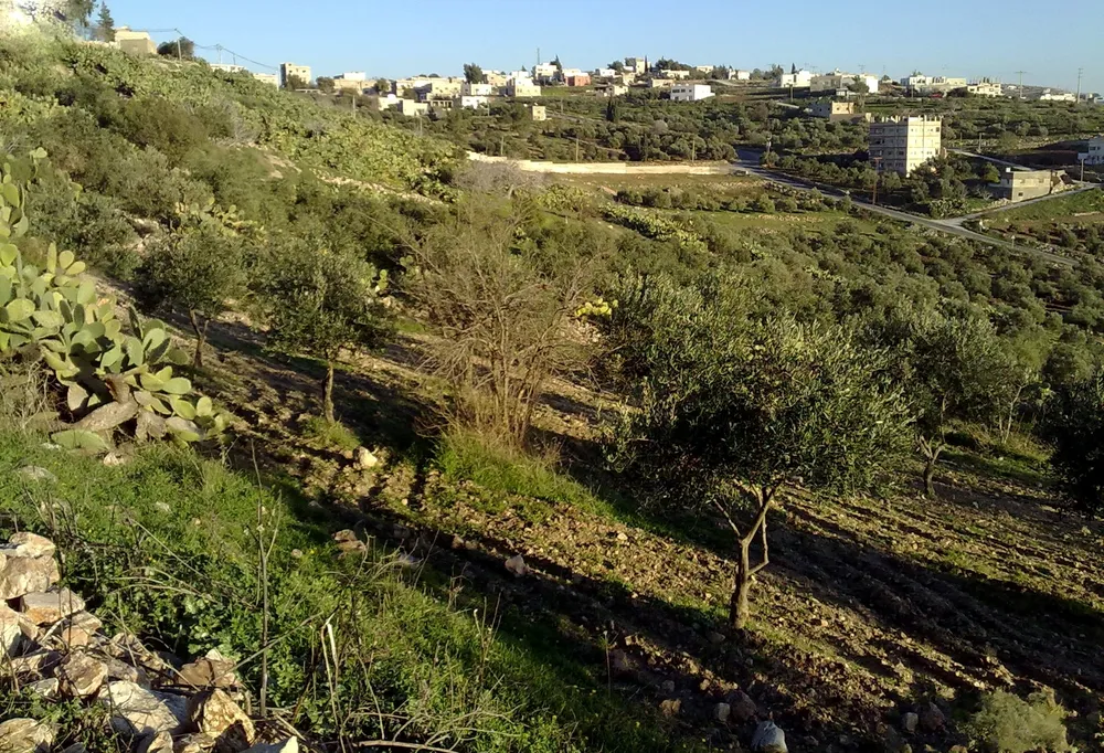 Hauran, Jordan