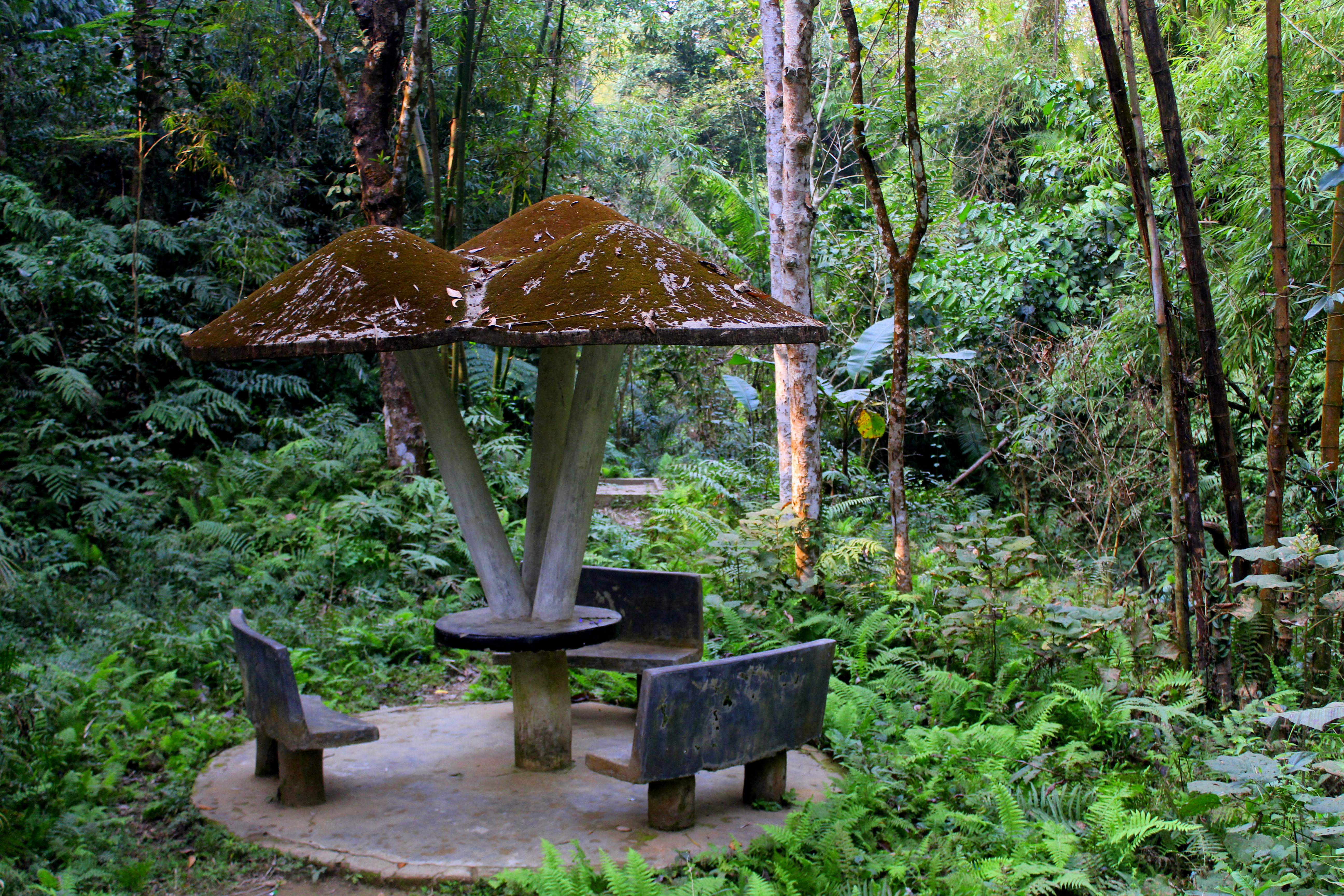 Khadimnagar National Park