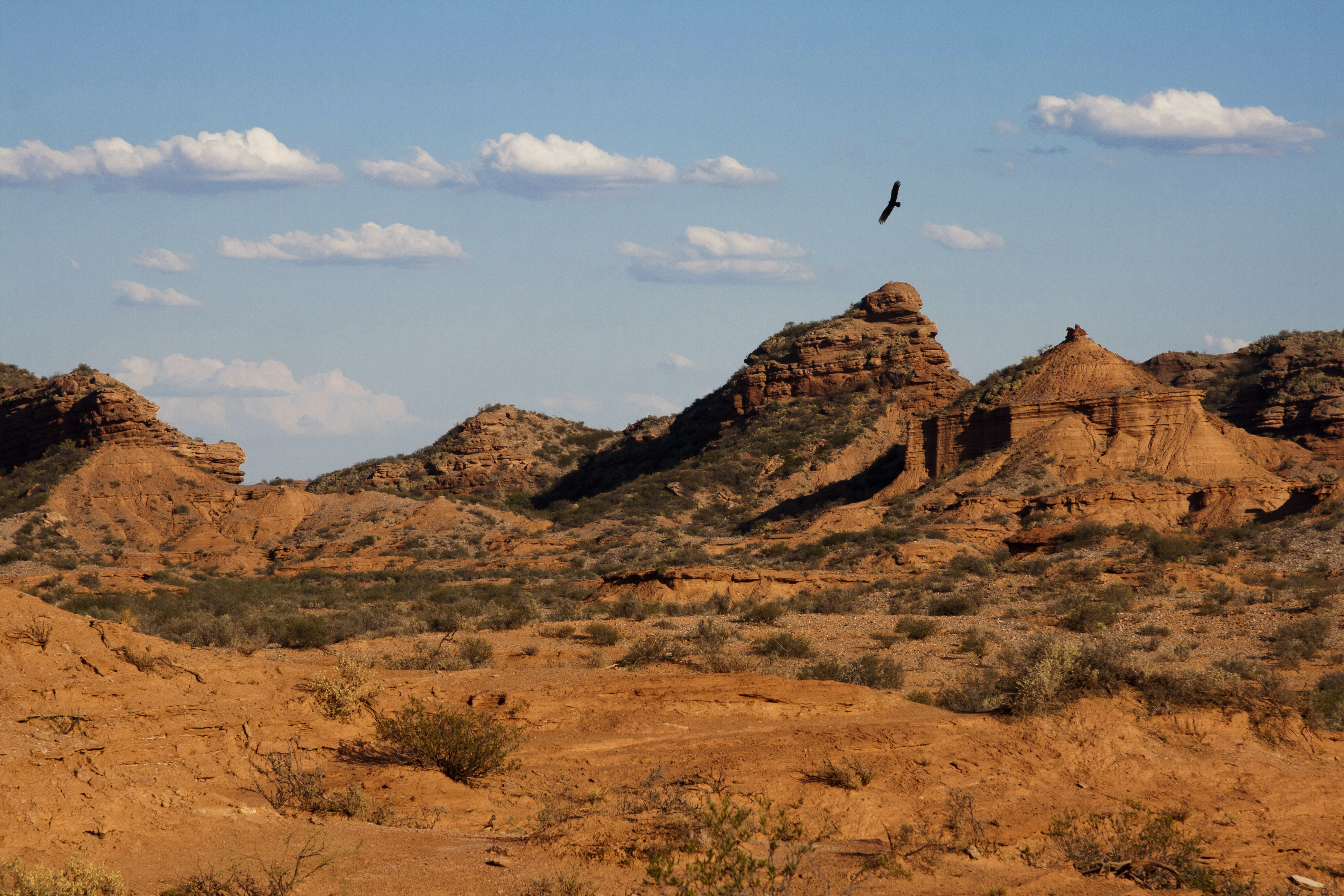 Sierra de las Quijadas National Park