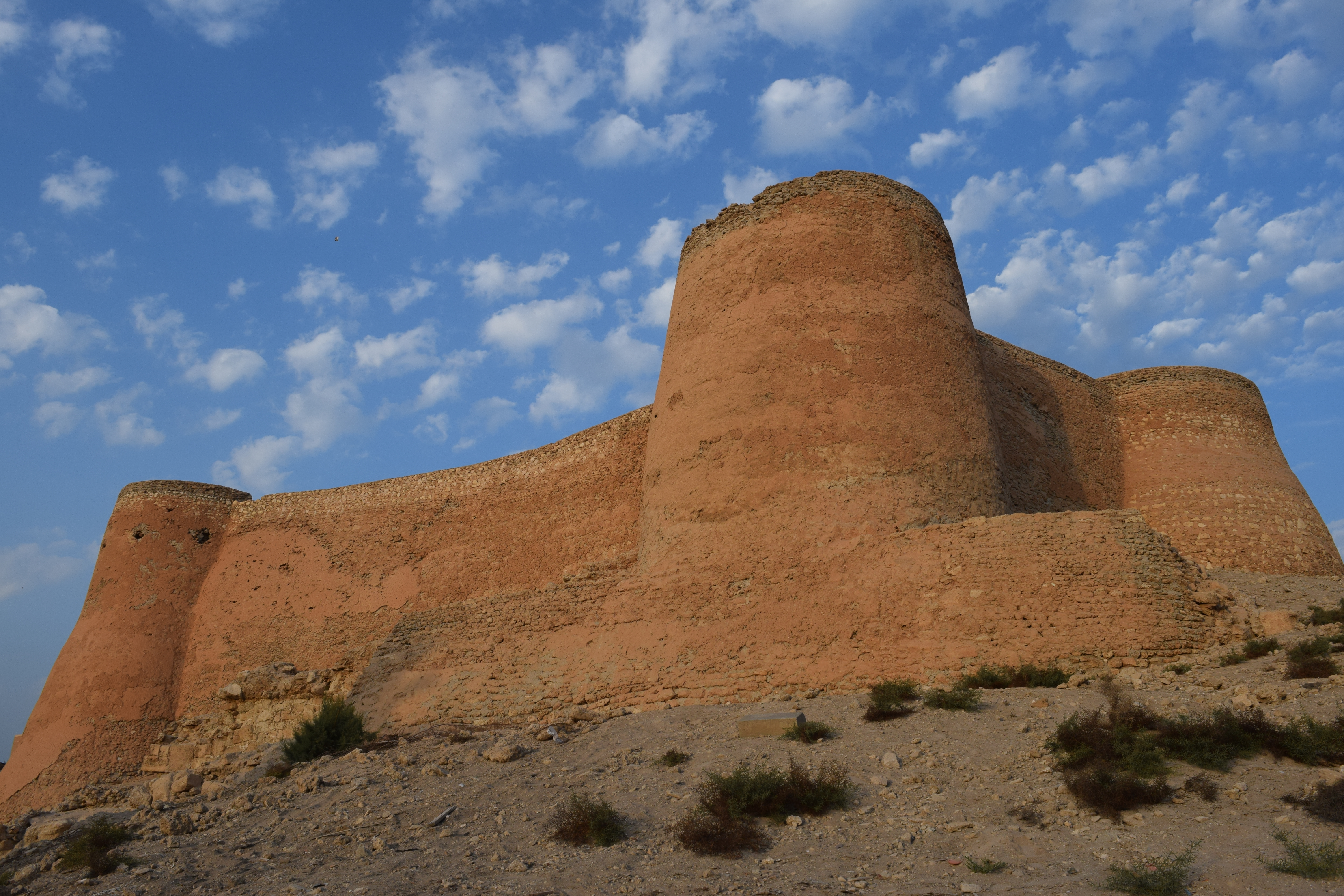 Tarout Castle