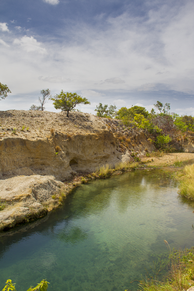 Aguaro-Guariquito National Park