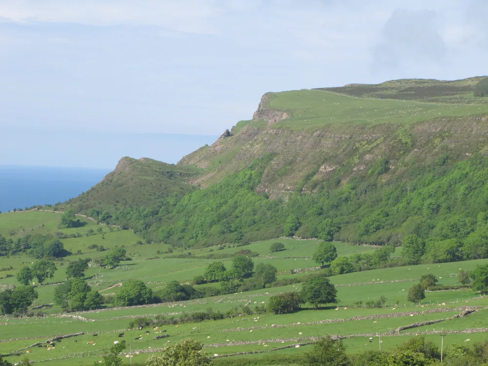 Binevenagh