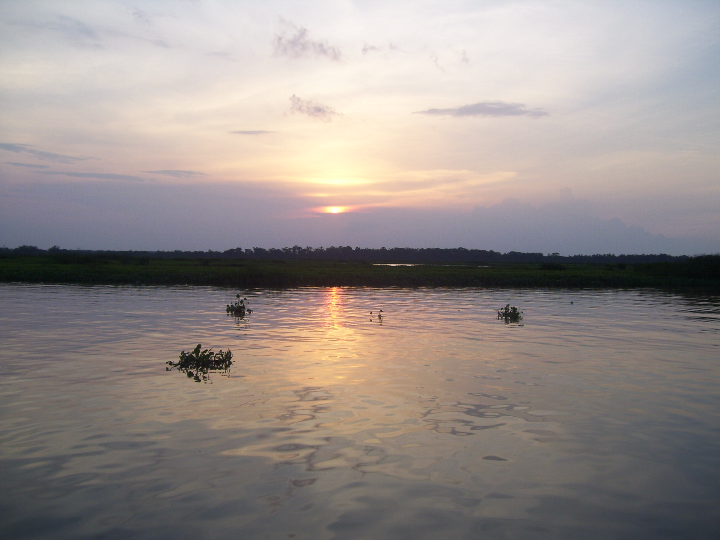 Ciénagas de Juan Manuel National Park