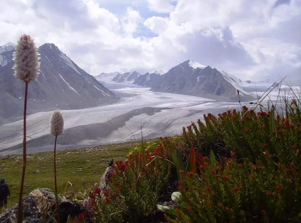 Altai Tavan Bogd National Park, Mongolia
